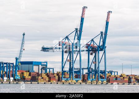 Gru e container al porto di Klaipeda, porto marittimo situato a Klaipeda, Lituania, Mar Baltico. L'Ucraina considera le esportazioni di cereali attraverso la Lituania Foto Stock