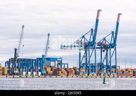 Gru e container al porto di Klaipeda, porto marittimo situato a Klaipeda, Lituania, Mar Baltico. L'Ucraina considera le esportazioni di cereali attraverso la Lituania Foto Stock