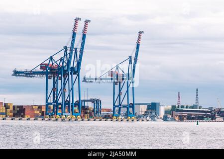 Gru e container al porto di Klaipeda, porto marittimo situato a Klaipeda, Lituania, Mar Baltico. L'Ucraina considera le esportazioni di cereali attraverso la Lituania Foto Stock