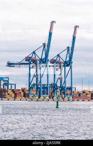 Gru e container al porto di Klaipeda, porto marittimo situato a Klaipeda, Lituania, Mar Baltico. L'Ucraina considera le esportazioni di cereali attraverso la Lituania Foto Stock