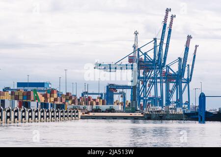 Gru e container al porto di Klaipeda, porto marittimo situato a Klaipeda, Lituania, Mar Baltico. L'Ucraina considera le esportazioni di cereali attraverso la Lituania Foto Stock