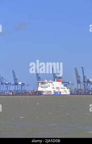 Stena Line traghetto Stena Hollandica lasciando Harwich Haven e passando Felixstowe Docks. Foto Stock