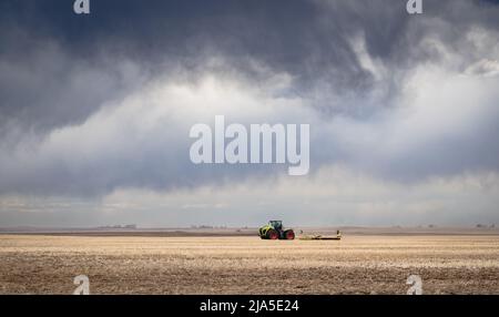 Un trattore che aratura un campo di grano sotto un cielo drammatico tempesta sulle praterie canadesi nella contea di Rocky View Alberta Canada. Foto Stock