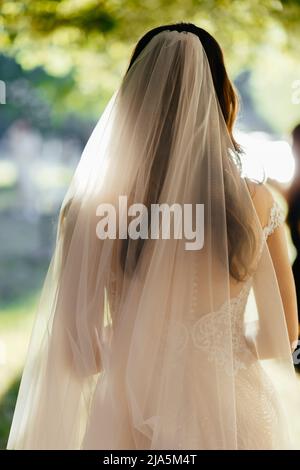 La sposa si pone nel suo elegante abito da sposa al tramonto. Foto dal retro Foto Stock