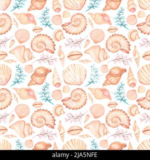 Acquerello conchiglie mare senza cuciture modello, estate disegnata a mano ocen decorazione carta ripetizione, Seashells carta scrapbook. Foto Stock