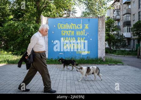 Bakhmut, Ucraina. 24th maggio 2022. Un uomo vecchio e due cani passano davanti ad una statua scritta con la poesia di Taras Shevchenko, 'abbraccia i miei fratelli, per favore. Grazie.' a Bakhmut, Donbas. Mentre Bakhmut è una città chiave delle forze ucraine nella difesa della regione di Donetsk (Donbas), la città è sotto attacco dalle truppe russe. L'invasione russa dell'Ucraina è iniziata il 24 febbraio, la guerra che ha ucciso numerosi civili e soldati. Credit: SOPA Images Limited/Alamy Live News Foto Stock