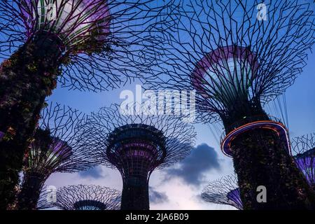 L'uomo ha fatto le torri di osservazione degli alberi a Singapore Foto Stock
