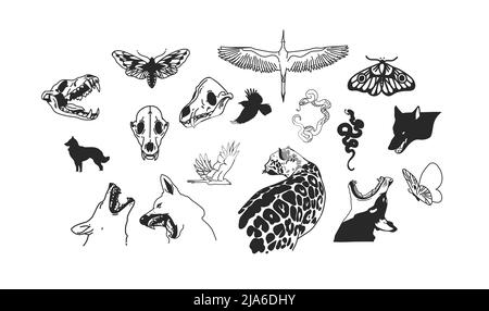 Disegno a mano vettore astratto stock flat grafica illustrazioni collezione set con elementi logo, magic sacred mystic Halloween animali contorno Illustrazione Vettoriale