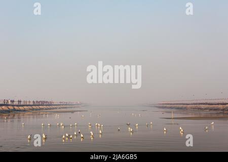 Il fiume Ganges durante le prime ore del mattino. Ogni dodici anni, milioni di devoti indù iniziano un massiccio pellegrinaggio verso il più sacro dei festival indiani: Il Kumbha Mela, che si svolge a Prayagraj, un luogo considerato particolarmente propizio perché è alla confluenza del Gange, Yamuna e il mitico Saraswati. Si stima che nel 2019 120 milioni di persone hanno partecipato alla sacra recinzione nel corso di un mese e mezzo. Questi numeri, equivalenti alla popolazione totale del Giappone, e 40 volte il numero di pellegrini che visitano la Mecca nella processione annuale, Foto Stock