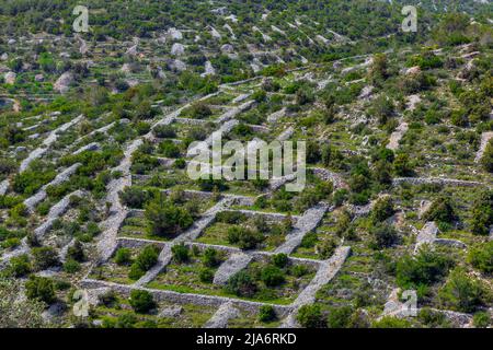 Mura storiche asciutte su Hvar, Dalmazia, Croazia, Europa Foto Stock