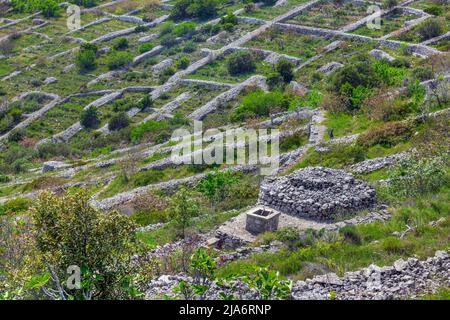 Mura storiche asciutte su Hvar, Dalmazia, Croazia, Europa Foto Stock