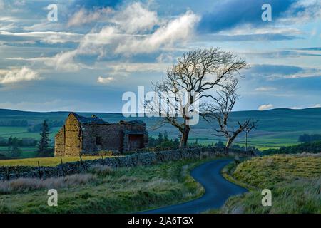 Artlegarth, un'area di valle del dead end molto vicina al villaggio di Dales di Ravenstonedale in Cumbria. Foto Stock