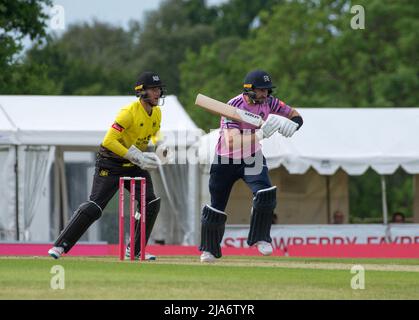 Steven Eskinazi di Middlesex gioca un brillante knock in una partita del T20 al club di cricket Radlett il 26th maggio 2022 Foto Stock