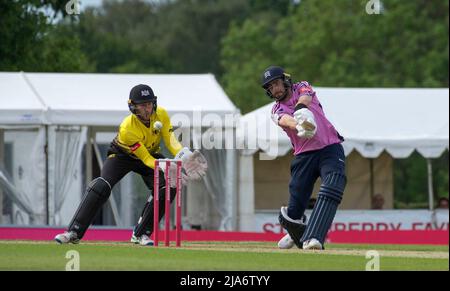 Steven Eskinazi di Middlesex gioca un brillante knock in una partita del T20 al club di cricket Radlett il 26th maggio 2022 Foto Stock