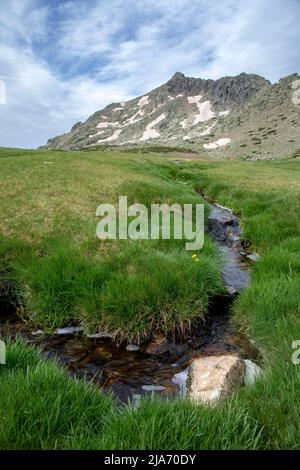 Il torrente alpino scorre attraverso prati verdi sotto le pendici rocciose del Pico de Peñalara nella Sierra de Guadarrama, Madrid, Spagna, in una giornata estiva Foto Stock