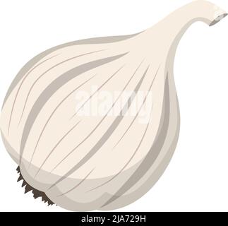 testa d'aglio isolata su sfondo bianco, disegno piatto vettore illustrazione Illustrazione Vettoriale