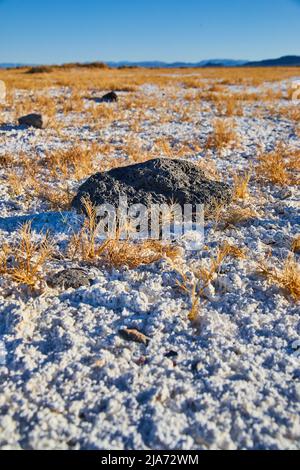 Particolare di roccia nera adagiata in sabbie bianche di deserto con erba gialla Foto Stock