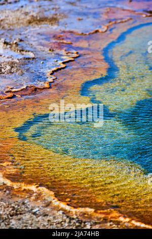 Vicino a strati colorati in primavera a Yellowstone Foto Stock