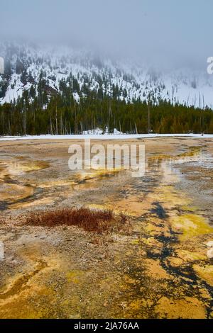 Pianure letali di Yellowstone con una varietà di colori con nebbia e colline coperte di neve in lontananza Foto Stock