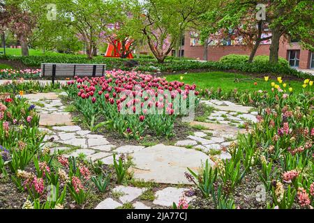 Parco cittadino con sentiero in pietra che attraversa i giardini di tulipani primaverili Foto Stock