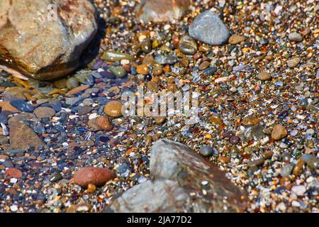 Dettaglio di Glass Beach in California coperto da pezzi colorati di vetro Foto Stock