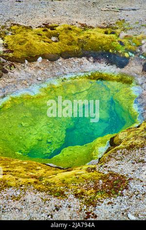 Bacino con piccolo geyser verde di acqua alcalina Foto Stock