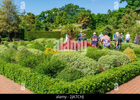 WISLEY, SURREY, Regno Unito 22 MAGGIO 2022: I visitatori godono di una giornata di sole nel giardino RHS a Wisley, uno dei cinque giardini gestiti dalla Società Foto Stock