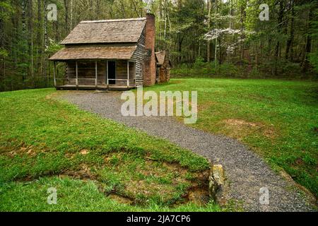 Cabina Henry Whitehead nella sezione Cades Cove del Great Smoky Mountain National Park in Tennessee Foto Stock
