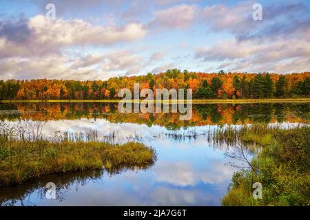 Mattina d'autunno al lago Doe nella foresta nazionale di Hiawatha Foto Stock