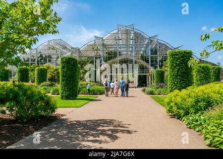 WISLEY, SURREY, Regno Unito 22 MAGGIO 2022: La premiata serra di RHS Wisley è stata ufficialmente aperta da HM la Regina nel giugno 2007. Foto Stock