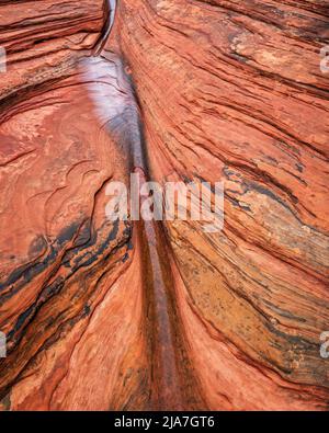 Rocce scavate nell'acqua delle numerose piscine del Parco Nazionale di Zion nello Utah Foto Stock