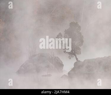 Misty autunno mattina lungo la sezione Widewater del C&o Canal, Great Falls National Park, Maryland Foto Stock