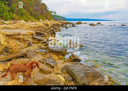 Bella spiaggia vuota di capo Galata, costa del Mar Nero, Varna Bulgaria Foto Stock