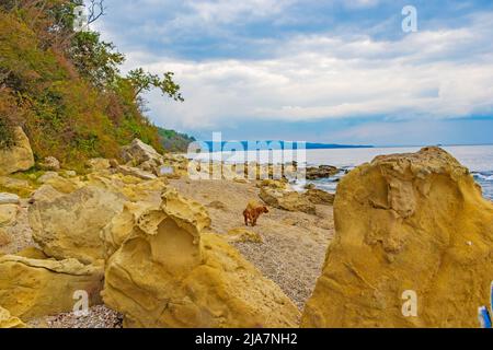 Bella spiaggia vuota di capo Galata, costa del Mar Nero, Varna Bulgaria Foto Stock