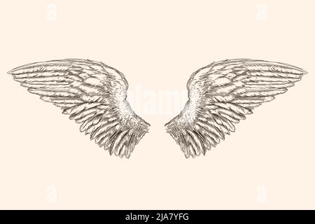 Due ali sparse di un angelo fatto di piume isolate su sfondo beige. Illustrazione Vettoriale