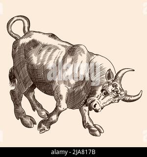 Un toro furioso si erge in posa con le corna spinte in avanti. Immagine vettoriale di un'incisione medievale su sfondo beige. Illustrazione Vettoriale