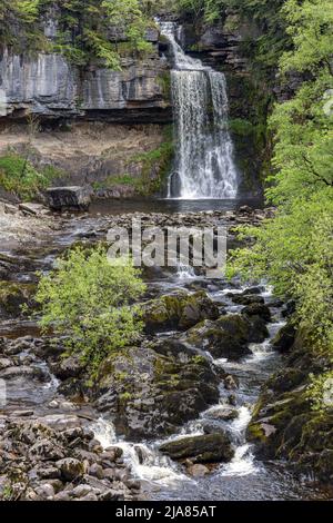 Thornton Force è una delle cascate più spettacolari viste sull'impressionante Ingleton Waterfalls Trail nelle Yorkshire Dales, Inghilterra, Regno Unito Foto Stock