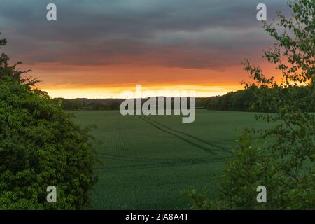 Il sole tramonta su una collina di alberi con il cielo rosso e arancione che illumina le spettacolari nuvole in primo piano Foto Stock