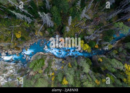 Vista dall'alto del fiume di montagna e della foresta Foto Stock