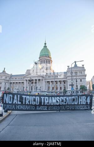 Buenos Aires, Argentina; 21 maggio 2022: Piazza dei Congressi, le persone che protestano contro gli OGM e i pesticidi in agricoltura hanno una bandiera: No al grano GM Foto Stock