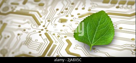 Foglia verde sul punto di convergenza della scheda a circuiti stampati del computer. Natura con convergenza digitale e convergenza tecnologica. Informatica ecocompatibile, Foto Stock