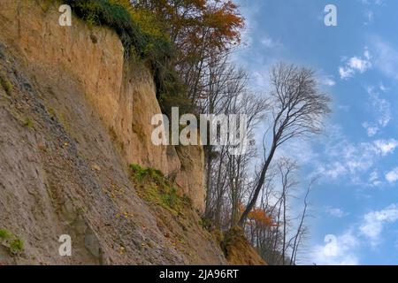 Ripida banca - Brodtener riva alla spiaggia Timmendorfer. Foto Stock