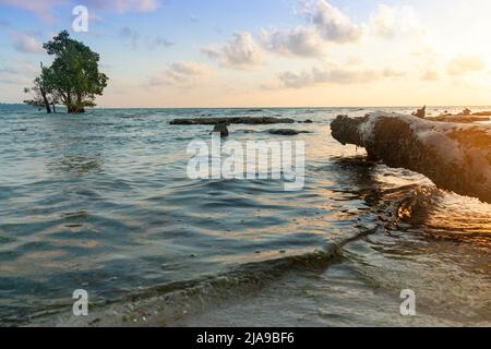 albero log sulla spiaggia con acqua verde e blu di mais panning ad albero di mangrovie con il cielo blu rosso nuvoloso alba scatto a havelock andaman isola Foto Stock