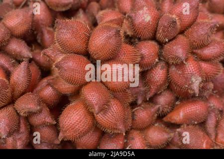 Frutta fresca in vita. Frutta tropicale in Thailandia. O Salacca wallichiana in un negozio di frutta in Thailandia. Wallichiana salacca rossa, deliziosa frutta tailandese Foto Stock