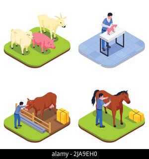 Animali da fattoria icona isometrica veterinaria con la vaccinazione di un terapeuta di maiale con un cavallo diversi animali e veterinario con un vettore vacca illustra Illustrazione Vettoriale