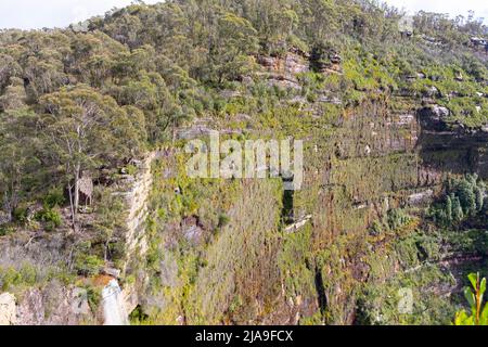 Govetts salto cascate o Bridal Veil cascate nel parco nazionale Grose Valley Blue Mountains, vista dal Barrow Lookout, New South Wales, Australia Foto Stock