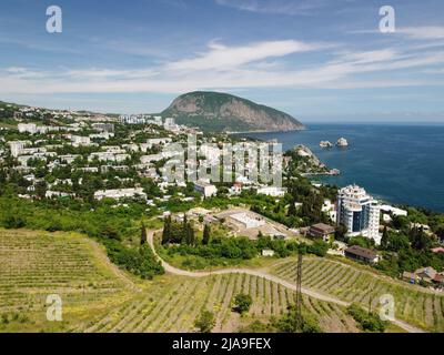 Vista panoramica aerea sulla città di Gurzuf resort e Bear Mountain, Ayu-Dag, Yalta, Crimea. Primavera giorno di sole. Natura estate oceano mare spiaggia sfondo Foto Stock