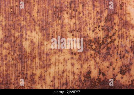 Asse in metallo molto arrugginito in marrone dorato. Foto Stock