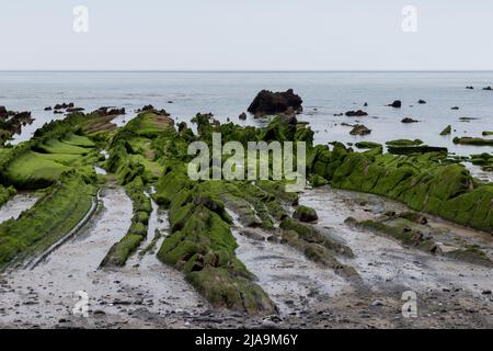 spiaggia di barrika sulla costa basca in primavera con le rocce verdi Foto Stock