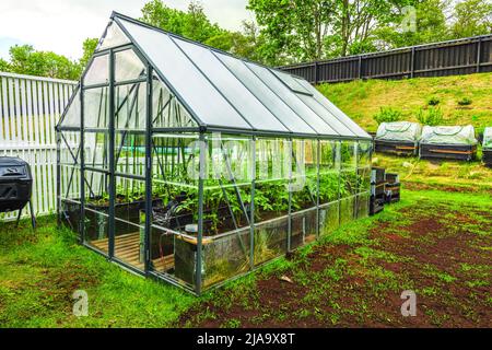 Splendida vista dell'esterno di un piccolo giardino privato con serra. Svezia. Foto Stock